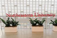Northeastern University March 10, 2026